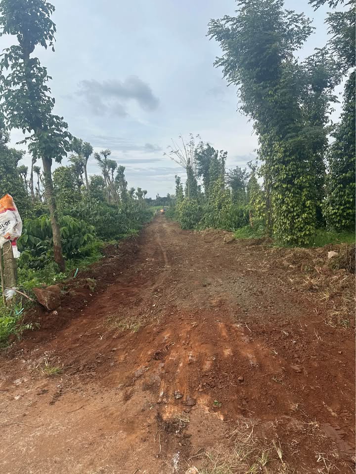 Đất nền 500m² tại phường Ea Kao, Buôn Ma Thuột - Cơ hội đầu tư sinh lời!