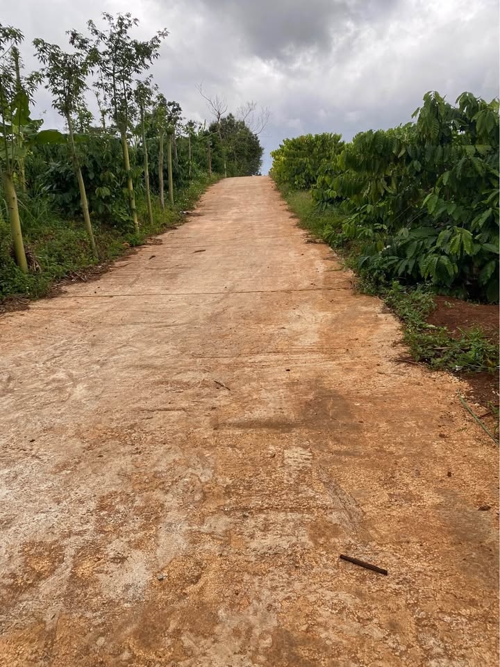 Bán đất xã Ea Tiêu 750m² giá 480 triệu - Đầu tư sinh lời tiềm năng!