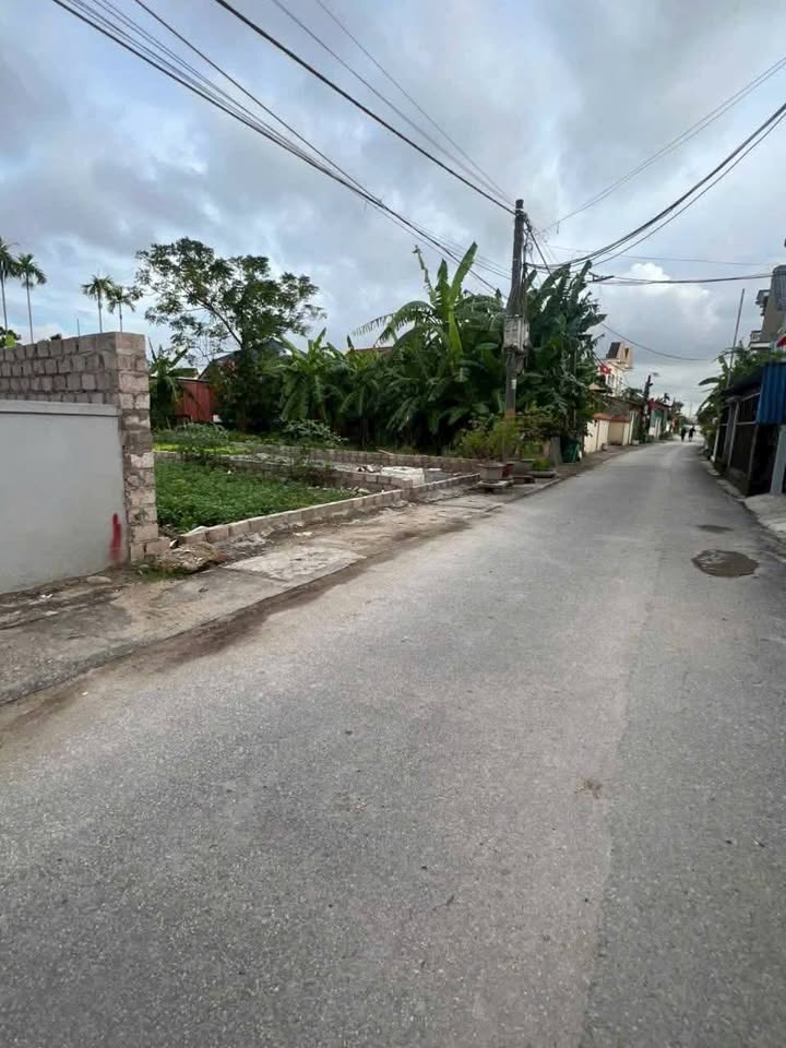 Đất nền Thủy Nguyên 87m² giá chỉ 2.3 tỷ - Cơ hội đầu tư hiếm có!