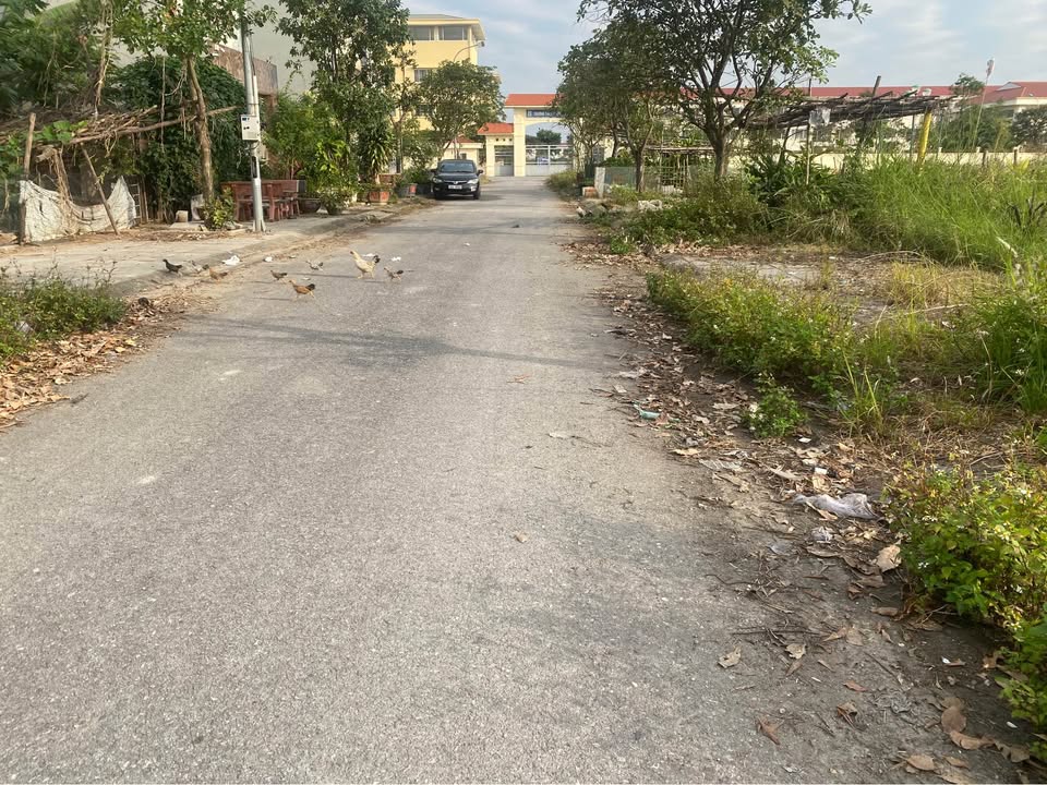 Đất Phượng Mao Green 100m² giá 5 tỷ - Mặt nhìn vườn hoa tuyệt đẹp!