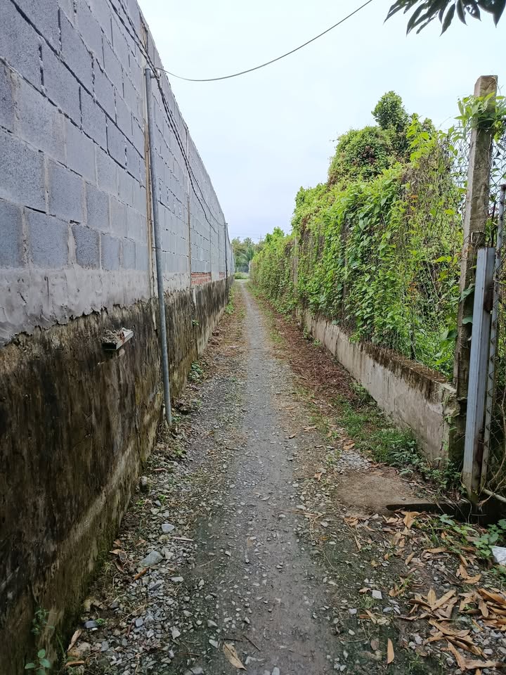 Đất vườn 1785m² tại Ấp Thanh Hưng, Cai Lậy giá chỉ 1.1 tỷ - Xây nhà ở lý tưởng!