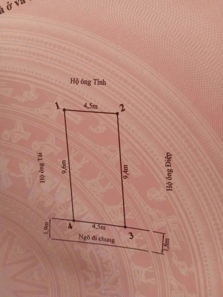 Lô đất ngõ 130 Cát Linh, Hải An 42.47m² giá 1.18 tỷ - Cơ hội đầu tư hấp dẫn!