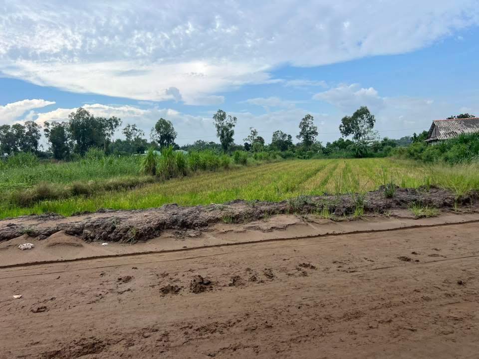 Đất nền Phước Trung Gò Công Đông 2456m² giá 3.065 tỷ - Cơ hội đầu tư hấp dẫn!