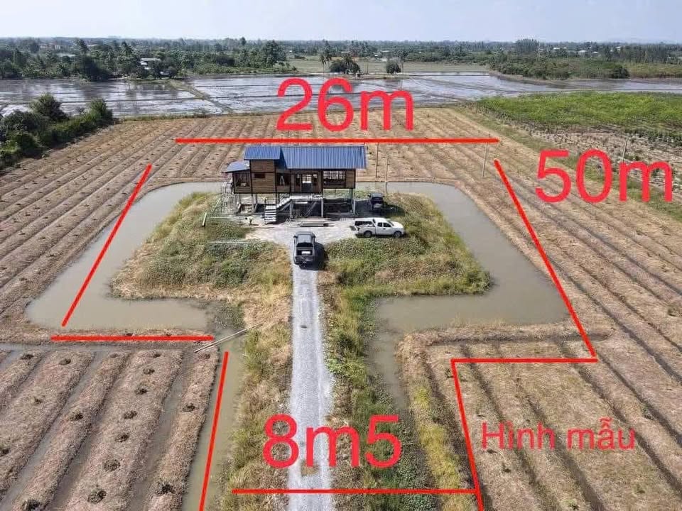 Đất Phước Thạnh 800m² giá 1.86 tỷ - Cơ hội đầu tư tuyệt vời!