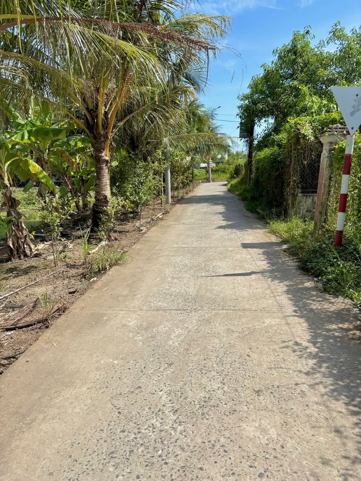 Đất nền 239,5m² 2 mặt tiền ô tô - Gần QL1A, TP Mỹ Tho - Giá 800 triệu