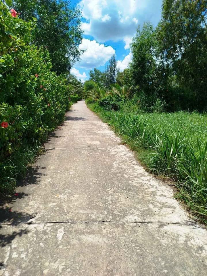 Đất Lương Hòa Giồng Trôm 1020m² giá 1.95 tỷ - Đường nhựa thuận lợi!