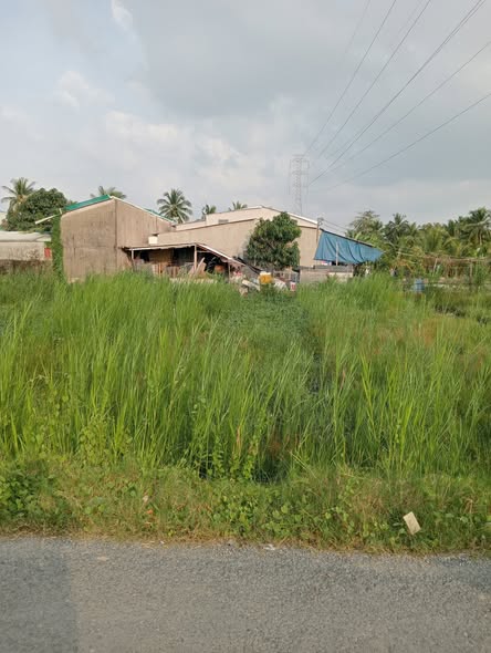 Đất nền mặt tiền đường nhựa Cai Lậy 899m² giá 9.3 tỷ - Phù hợp xây dựng kho bãi, nhà nghỉ!