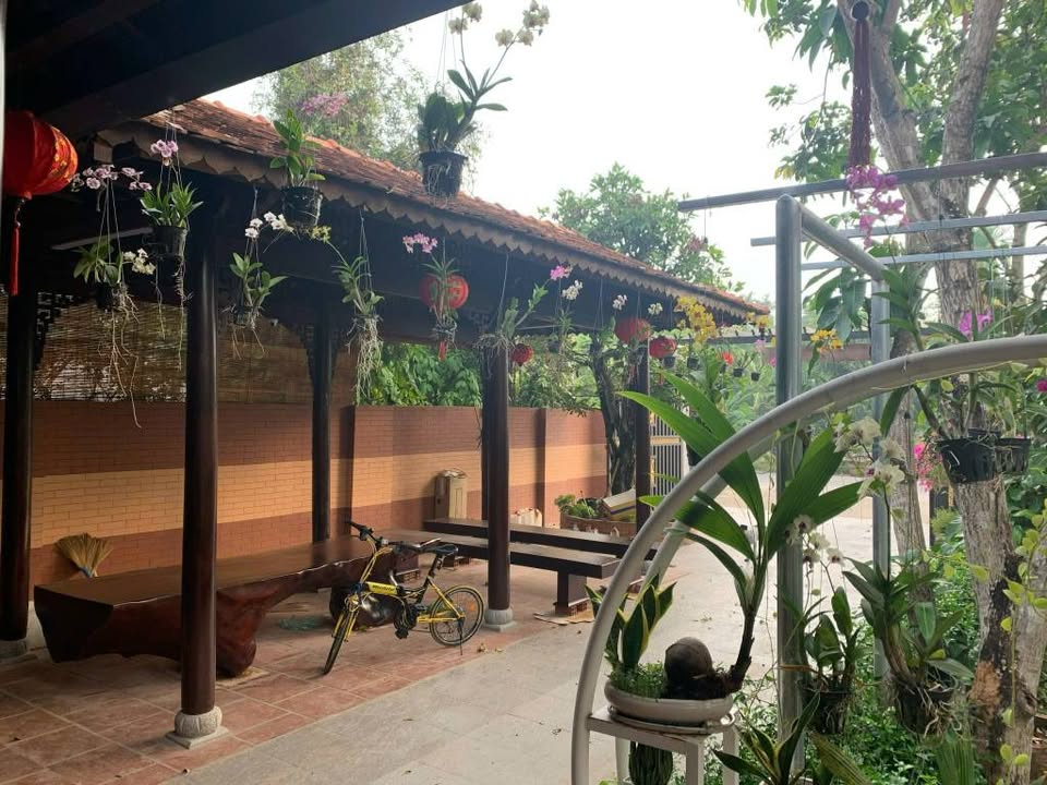 Nhà vườn đường An Sơn 01, 1144m² giá 21 tỷ - Nội thất cao cấp tặng kèm!