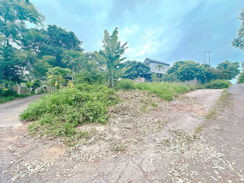 Đất nền Tiên Kiên Lâm Thao 180m² giá 900 triệu - Tiềm năng đầu tư lớn!