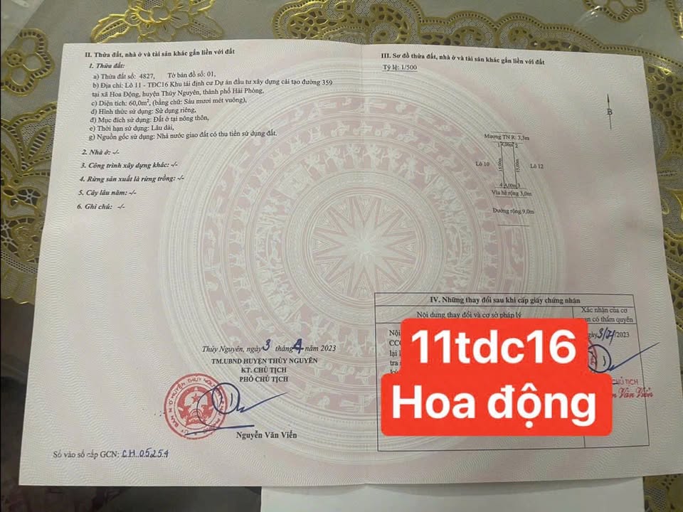 Đất nền TĐC Hoa Động 60m² giá 3 tỷ - Chủ cần bán gấp, cắt lỗ hơn 100 triệu!