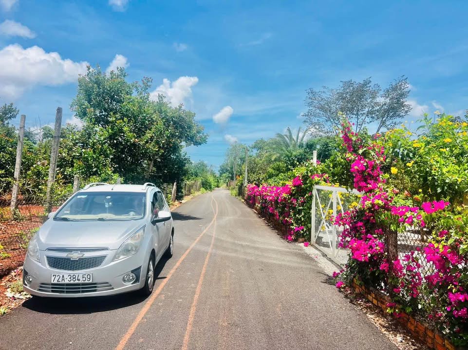 Đất nền Phước Tân, Xuyên Mộc 410m² giá 1.55 tỷ - Đầu tư sinh lời ngay!