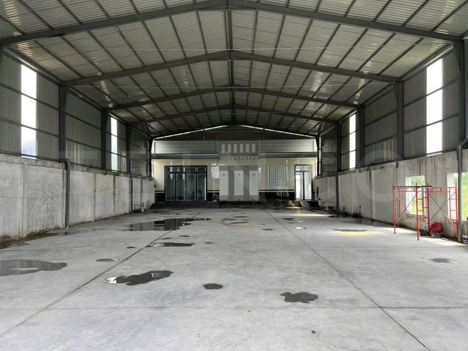 Cho thuê kho 1.500m² mặt tiền Quốc Lộ 91B - Phù hợp làm văn phòng, showroom