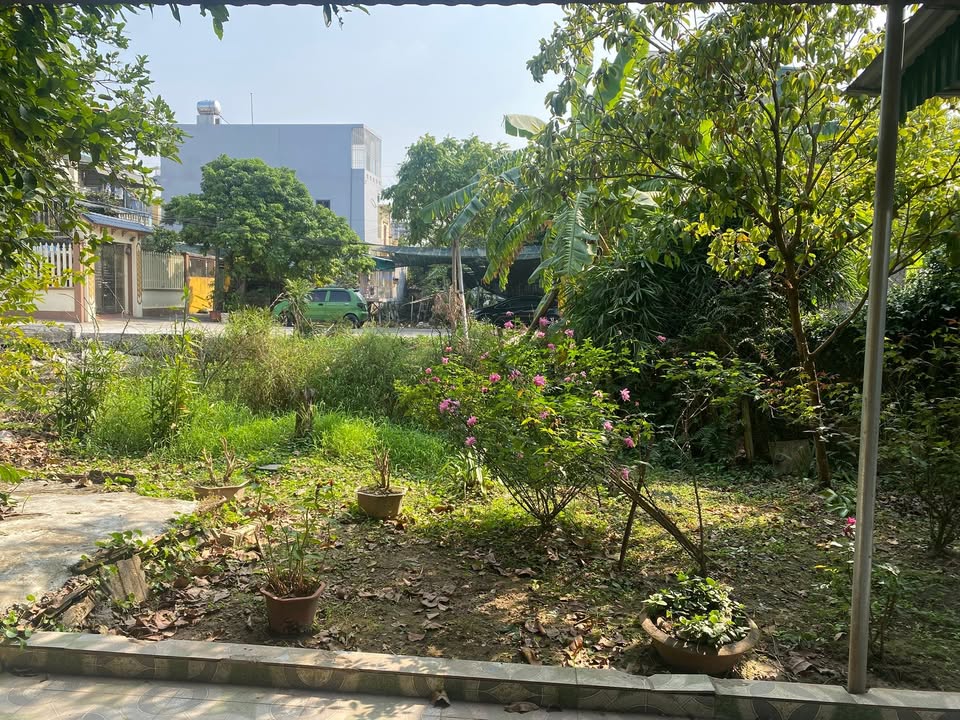 Đất chính chủ tại Hoàng Diệu, Thái Bình 55m² - Giá thỏa thuận!