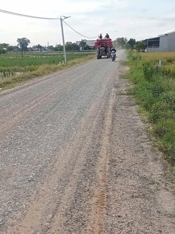 Đất thổ cư Tân Phú, Đức Hòa 300m² giá 1.3 tỷ - Cơ hội đầu tư tuyệt vời!