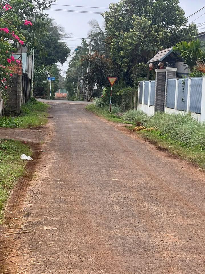 Đất nền Tân An Buôn Ma Thuột 110m² giá 1.55 tỷ - Đường thông thoáng, vị trí đẹp!