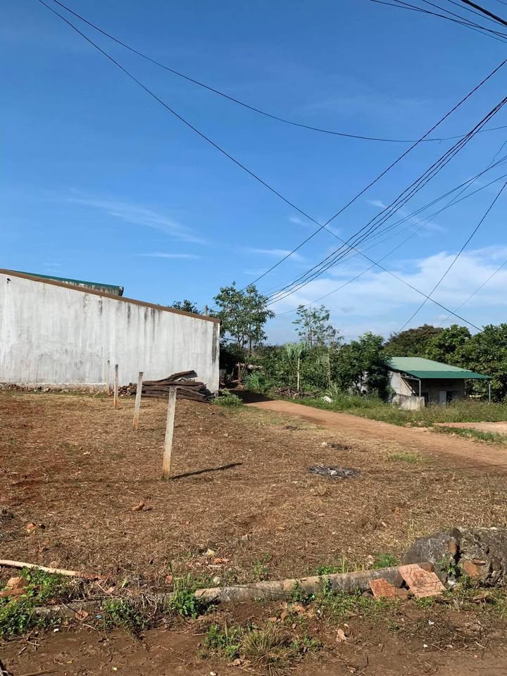 Đất nông nghiệp 2 mặt tiền đường A11, xã Cư Êbua, giá 750 triệu - Pháp lý ổn định!