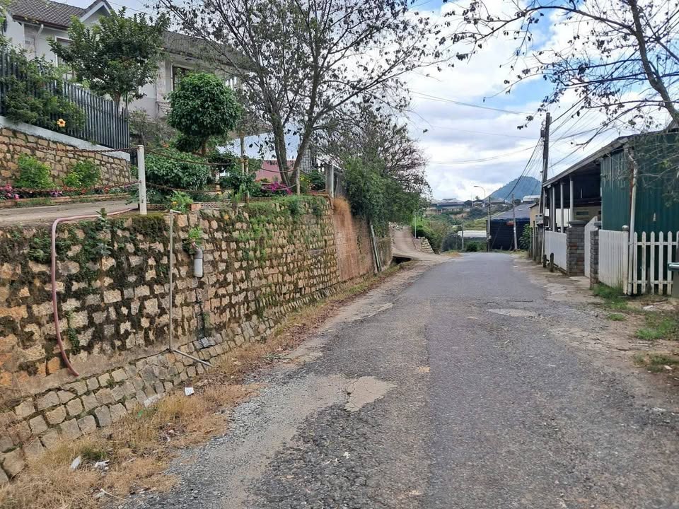 Đất đẹp mặt tiền đường Xóm Lèo, phường 11, Đà Lạt 130m² - Giá chỉ 1.6 tỷ!