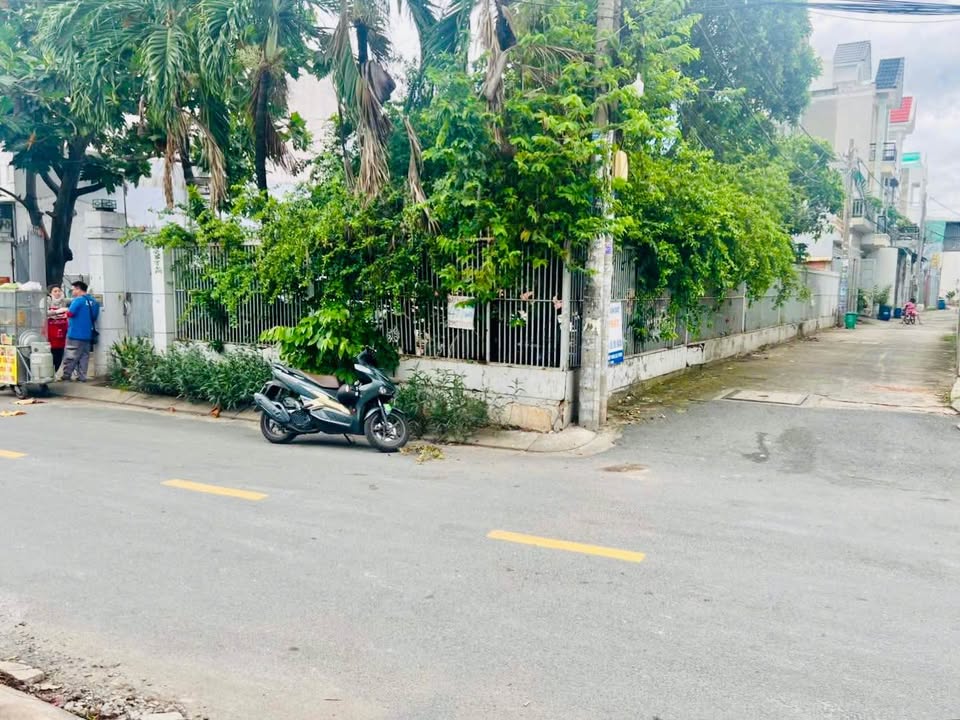 Đất nền mặt tiền Trần Thị Hè, Hiệp Thành, Q.12 - Giá chỉ từ 5.5 tỷ!