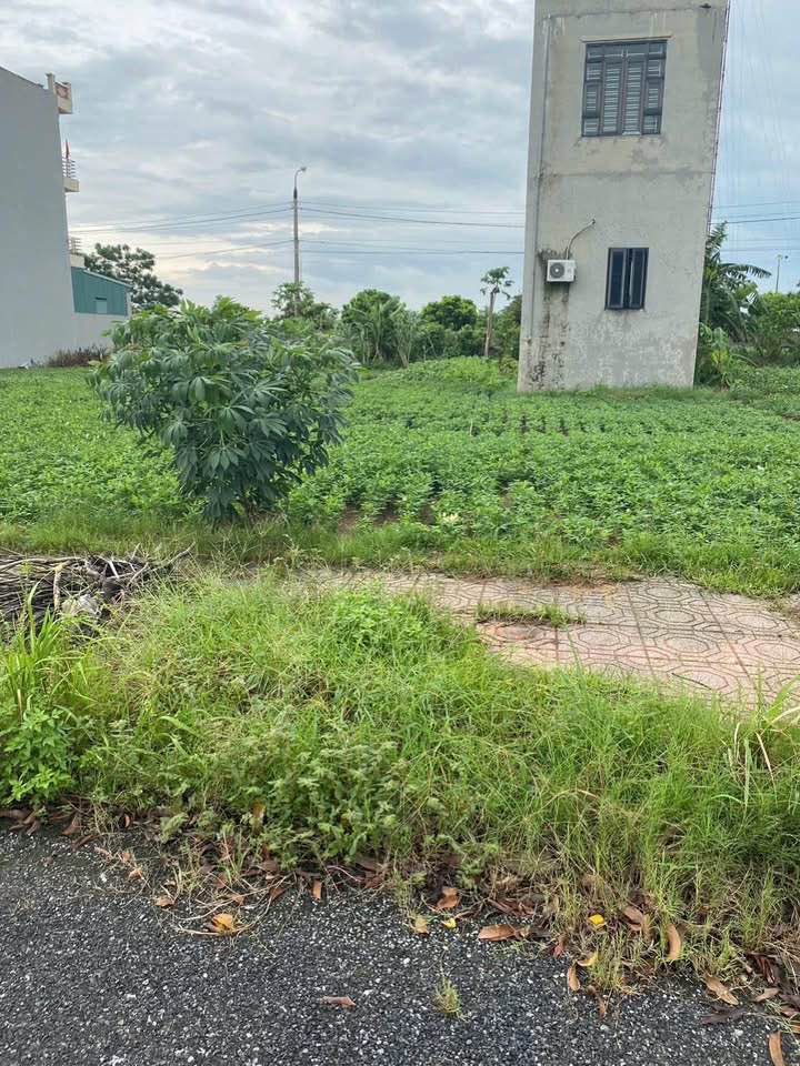 Đất nền Tái định cư Tân Quán Tân Bình 72m² giá 1 tỷ - Đầu tư hấp dẫn!