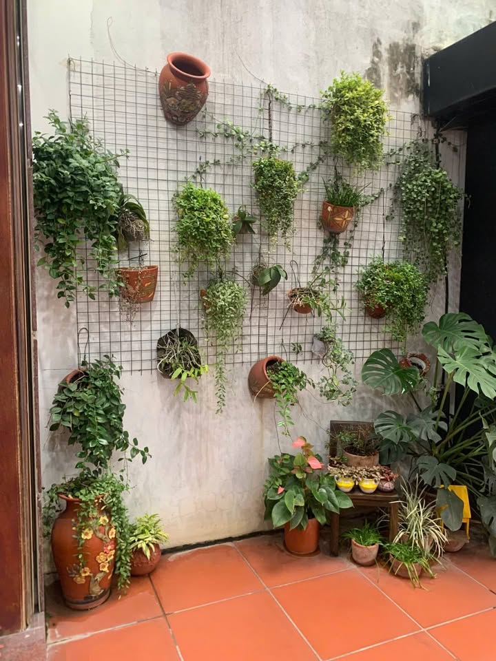 Nhà phố Ngọc Hân Công Chúa Bắc Ninh 90m² giá 25 tỷ - Kinh doanh sầm uất!