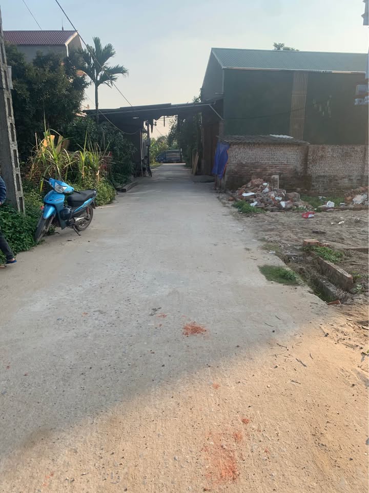 Đất nền Ninh Xá 100m² giá chỉ 3x triệu/m² - Cơ hội đầu tư tốt!