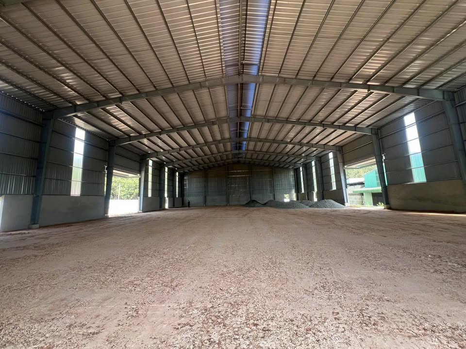 Cho thuê nhà xưởng 2500m² tại Phước Hòa, Phú Giáo - Giá 162.5 triệu/tháng cực hấp dẫn!