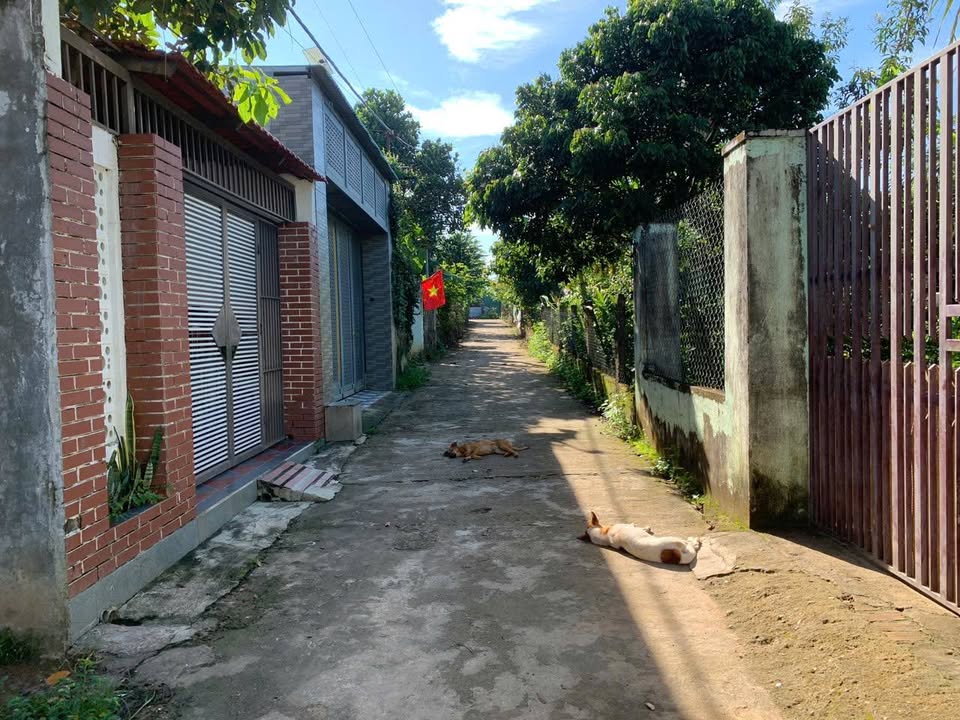 Đất nền phường Lê Lợi, Kon Tum 120m² giá chỉ 500 triệu - Đầu tư sinh lời ngay!