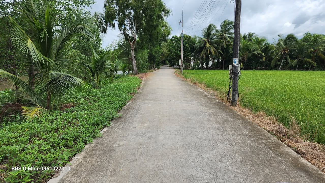 Đất nền đẹp 9500m² tại Phường Ô Môn, Cần Thơ - Giá chỉ 5 tỷ VND thương lượng!