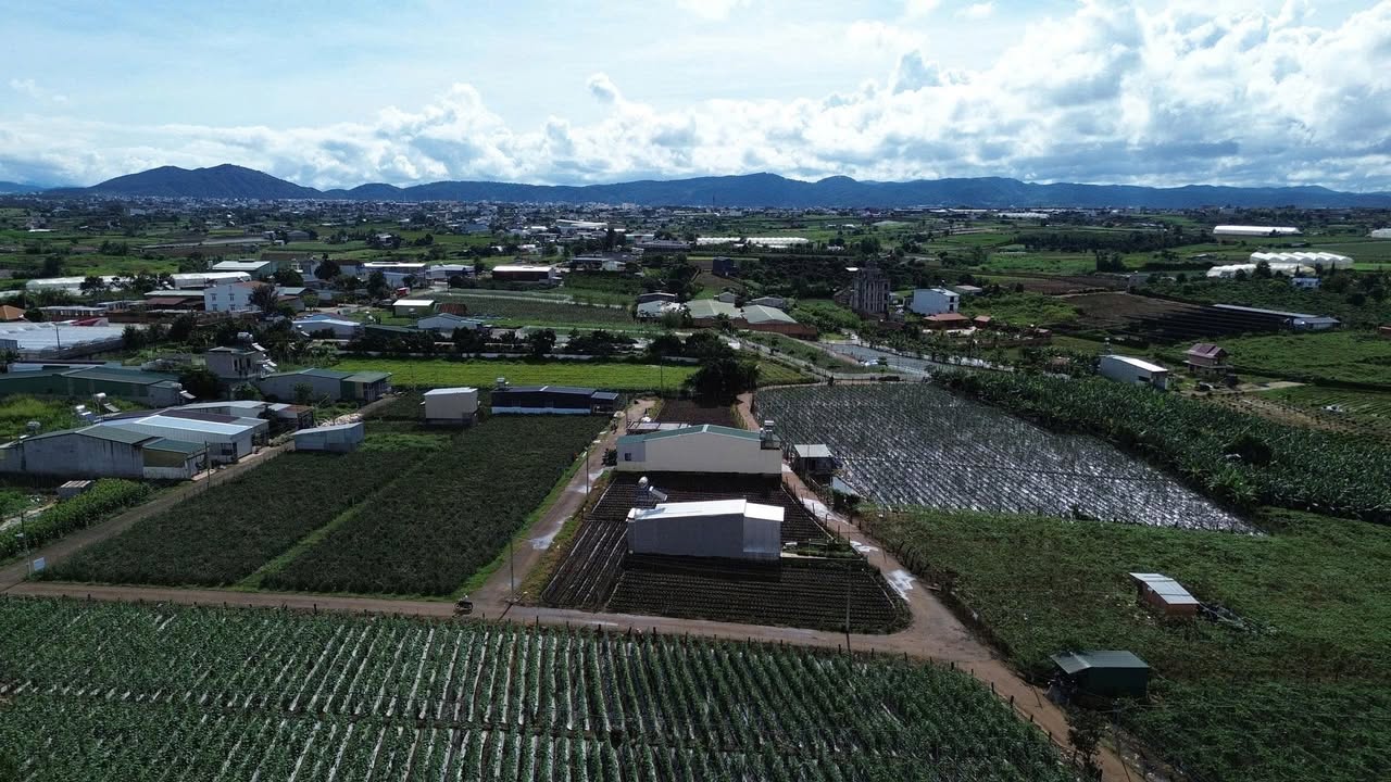 Đất thổ cư 75m² Tân Hội, Đức Trọng - Giá chỉ 955 triệu, cơ hội đầu tư lý tưởng!