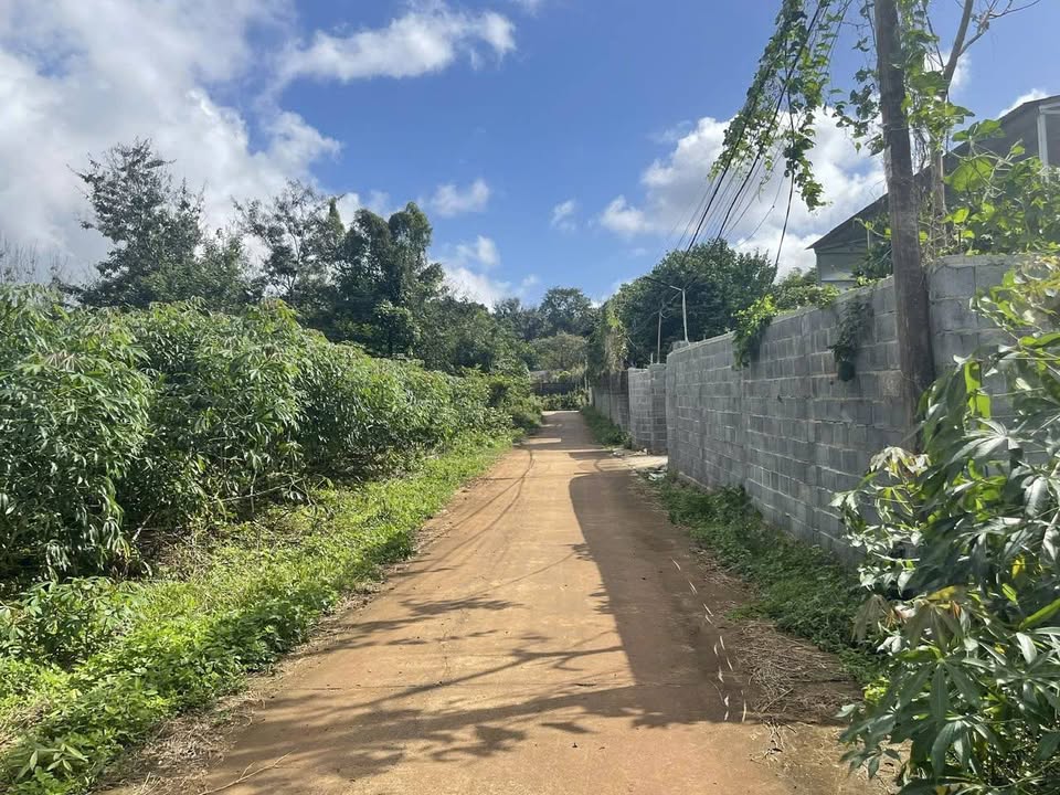 Đất nền 500m² hẻm Mai Thị Lựu, Buôn Ma Thuột chỉ 999 triệu - Cơ hội đầu tư tuyệt vời!