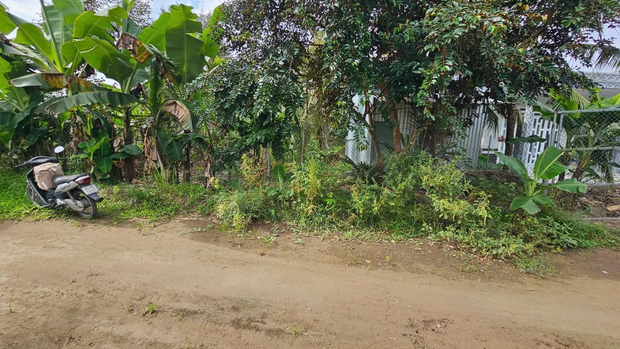 Mảnh vườn nghỉ dưỡng Phước Thới Cần Thơ 1424m² giá 3 tỷ - Không thể bỏ lỡ!