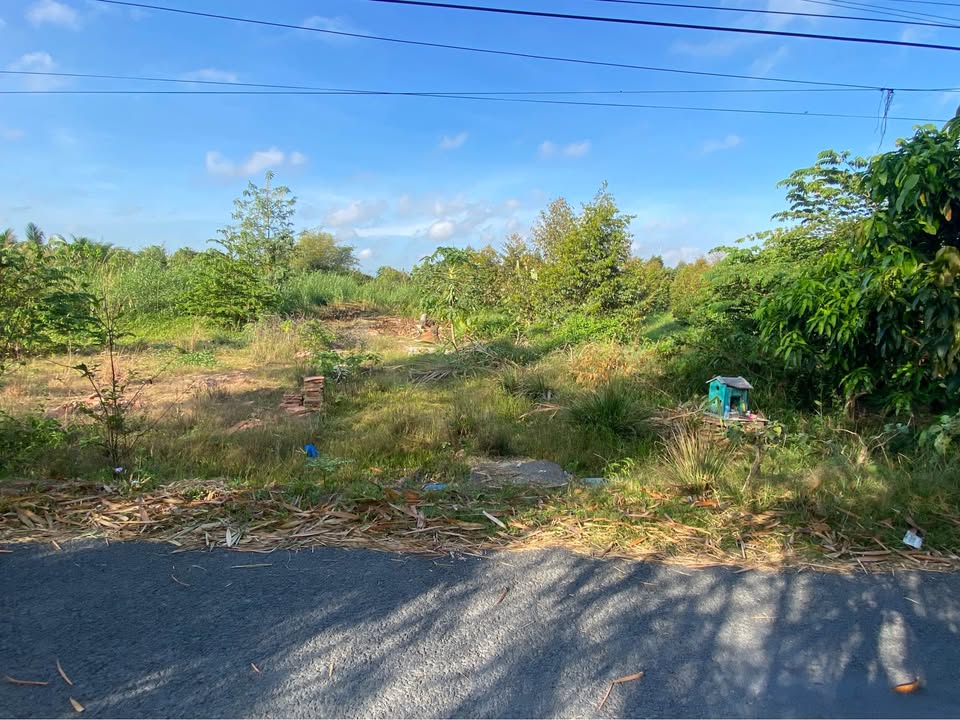 Đất nền mặt tiền đường nhựa 500m² tại Mỹ Hiệp - Giá chỉ 600 triệu