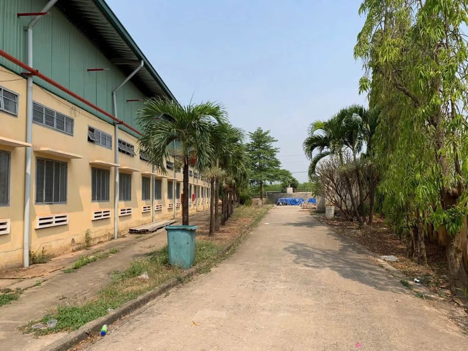 Nhà xưởng 37.000m² tại Cụm CN Tân An - Pháp lý đầy đủ, giá tốt đầu tư!