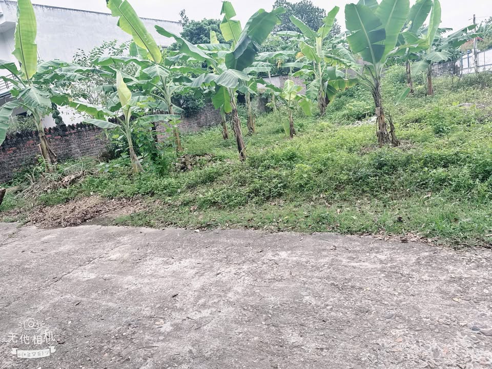 Đất nền Ngọc Thiện, Tân Yên 145m² giá 1 tỷ - Đầu tư sinh lời nhanh!