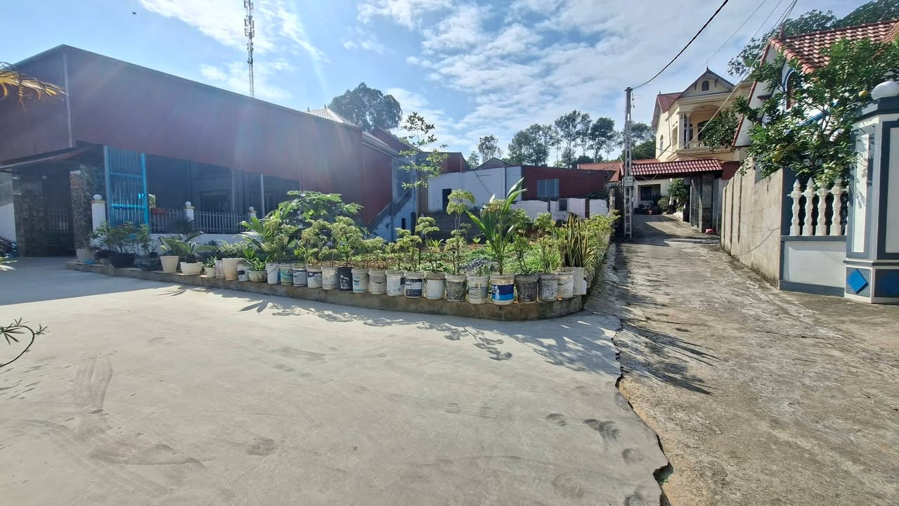 Đất nền TDP Trung, phường Tân An, Bắc Ninh 105m² - Đầu tư sinh lời ngay!