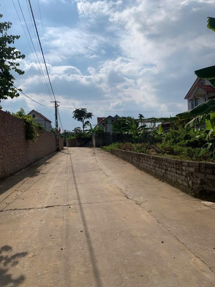 Đất nền Gẵn Đông Phú Lục Nam 103m² giá chỉ 700 triệu - Cơ hội đầu tư tuyệt vời!