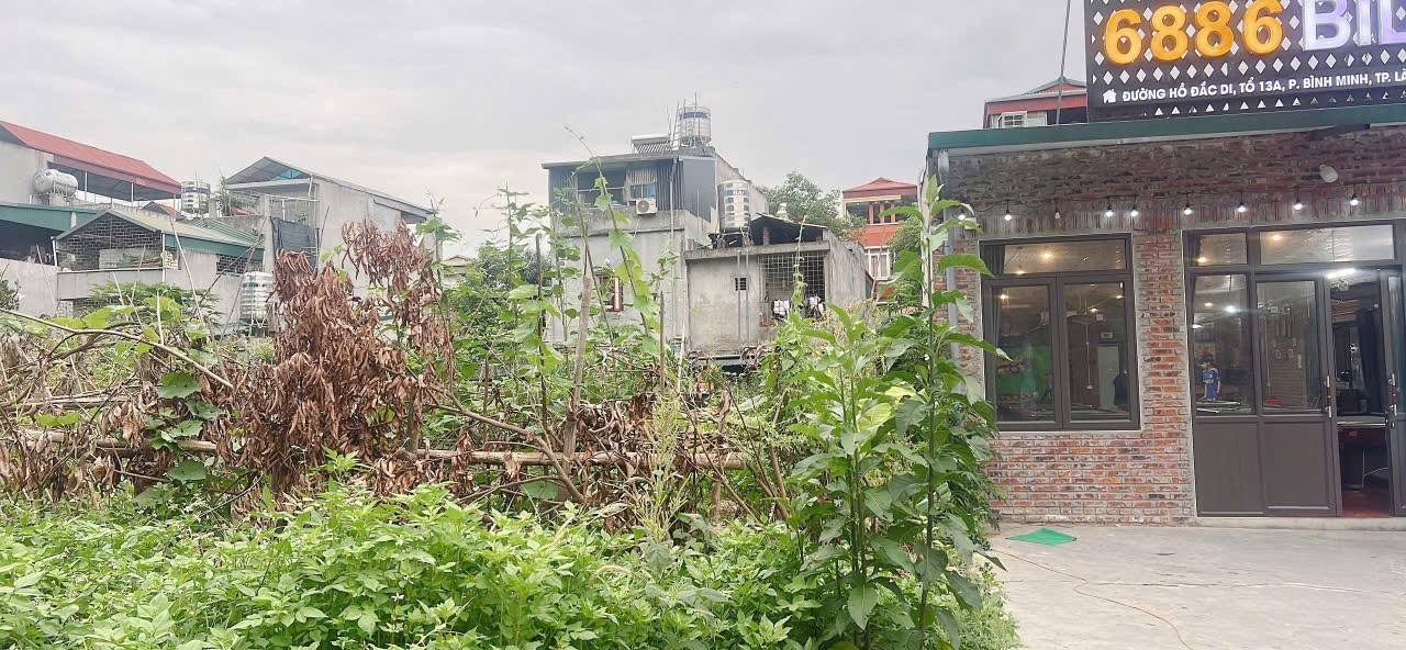 Đất nền kinh doanh đường Hồ Đắc Di, Lào Cai 99m² giá 2.3 tỷ - Cơ hội đầu tư sinh lời!