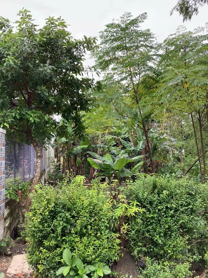 Đất nền Hòa Khương Đà Nẵng 150m² giá 1.4 tỷ - Mặt tiền đường ô tô, đầu tư sinh lời!