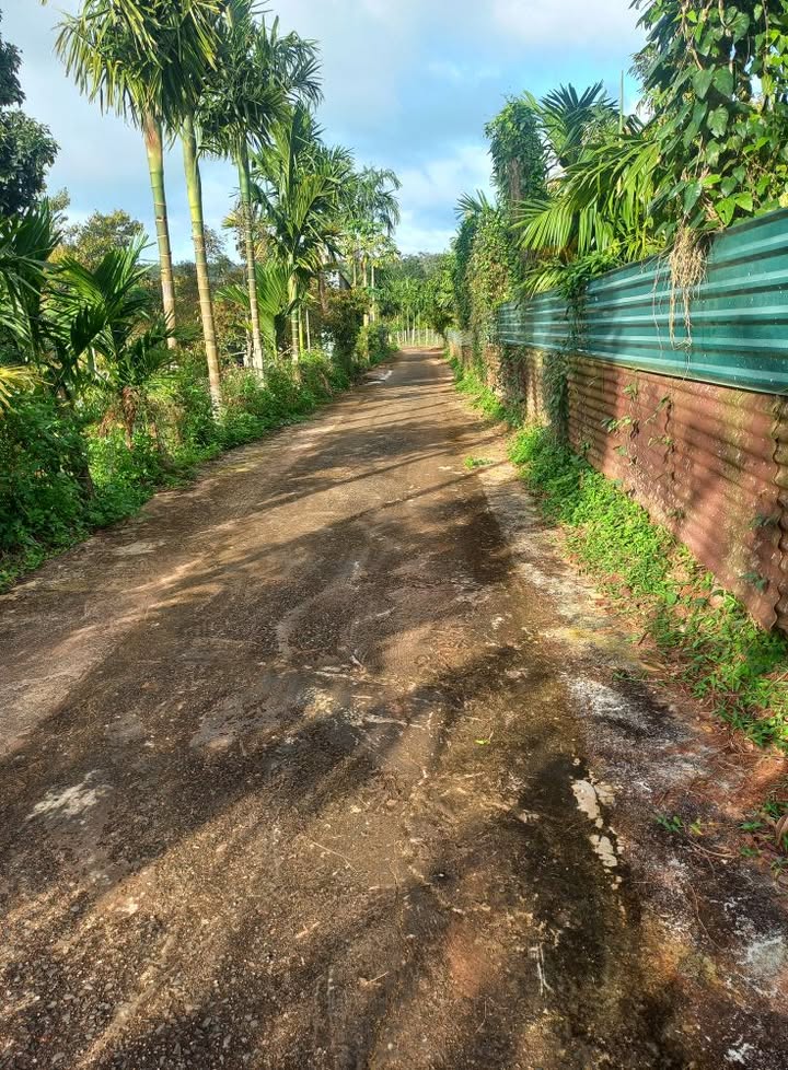 Đất nền Buôn Hồ 50m² giá 679 triệu - Cơ hội đầu tư tuyệt vời!