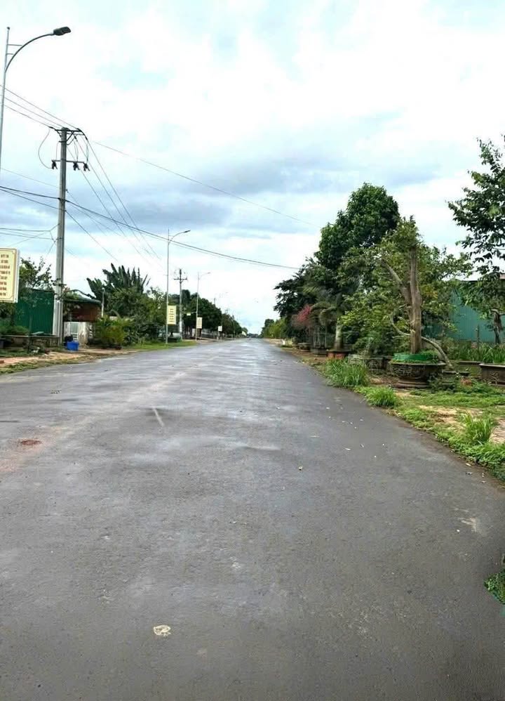 Đất nền KĐT Palama (An Lạc) 123m² giá 2.635 tỷ - Cơ hội đầu tư hiếm có!