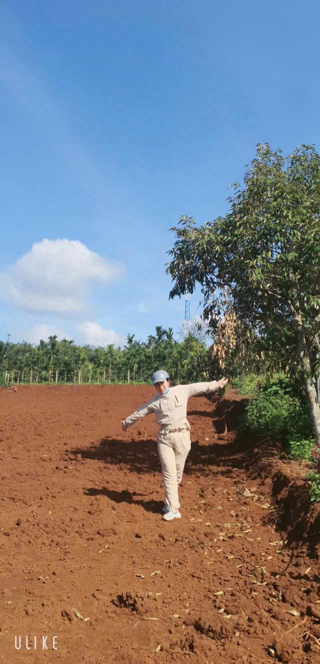 Đất nền đường Hải Âu, phường Đạt Hiếu, 275m² giá 740 triệu - Cơ hội đầu tư lý tưởng!