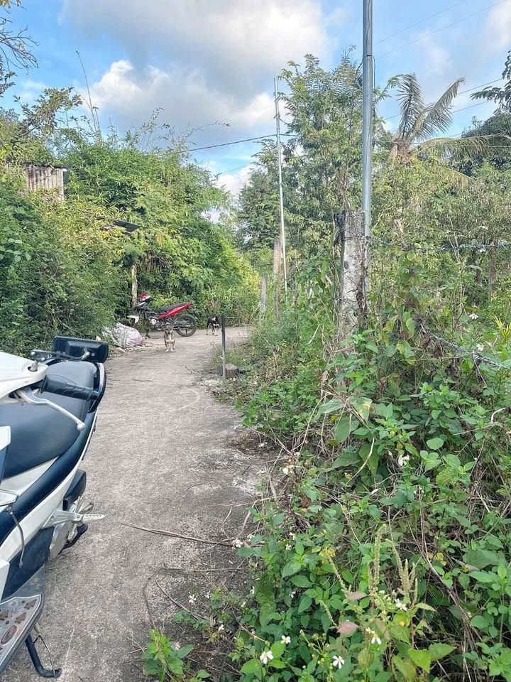 Đất nền bám suối 1400m² phường Thành Nhất - Giá chỉ 1 tỷ