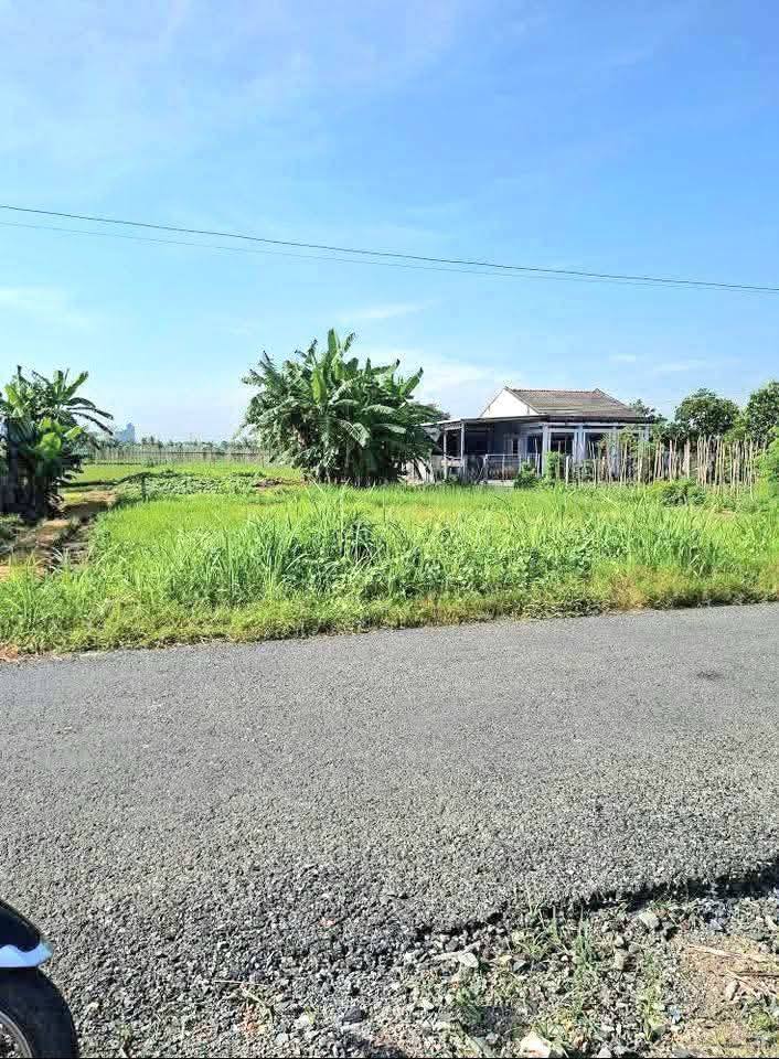 Đất nền Tân Đông, Gò Công Đông 51480m² chỉ 1.2 tỷ - Vị trí đẹp, tiện kinh doanh!