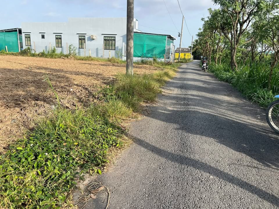 Đất nền Bình Nghị Gò Công Đông 150m² giá 400 triệu - Sổ hồng riêng, mặt tiền đường nhựa!