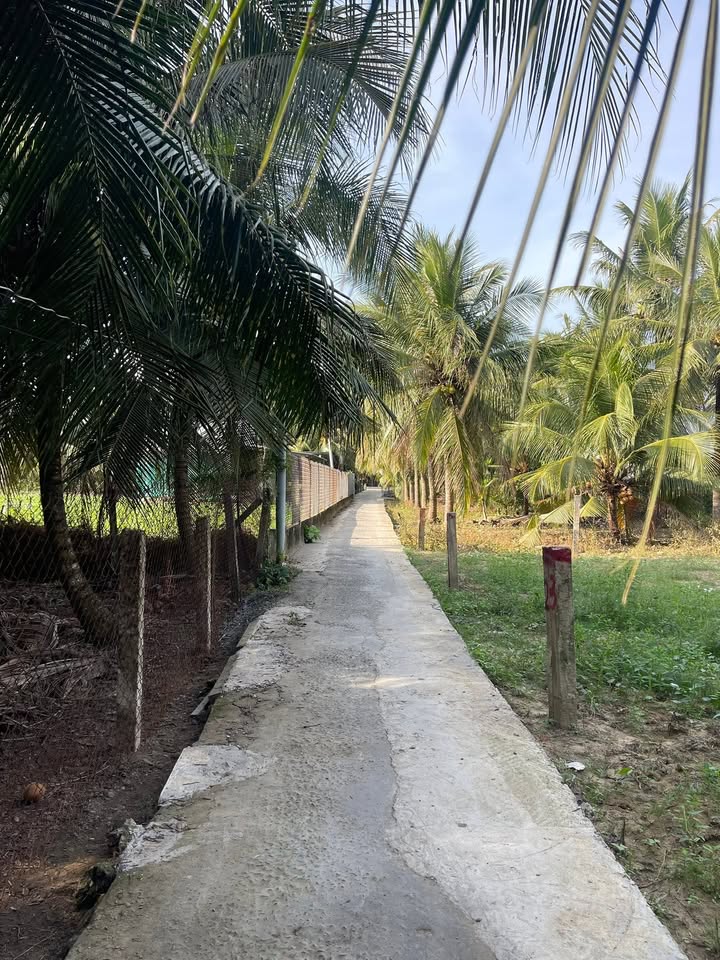 Bán đất nền Bình Ninh, Chợ Gạo, Tiền Giang 330m² - Dân cư đông đúc, không khí trong lành!