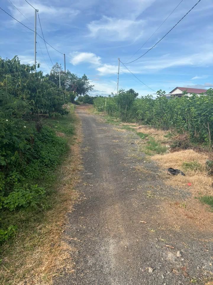 Đất thổ cư đẹp Tân Thành, Lâm Đồng 2200m² - Giá chỉ 2.95 tỷ, thương lượng chính chủ!