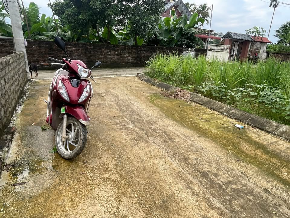 Đất thổ cư 100m² tại Hoà Trúc - Phú Cát chỉ 2 tỷ - Cơ hội đầu tư hiếm có!