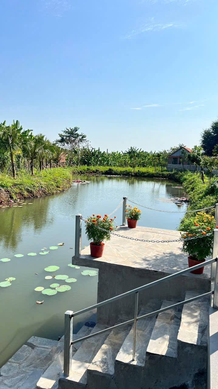 Farm nghỉ dưỡng Long Tân 5000m² giá 7.5 tỷ - Không gian xanh mát, sẵn sàng vào ở!