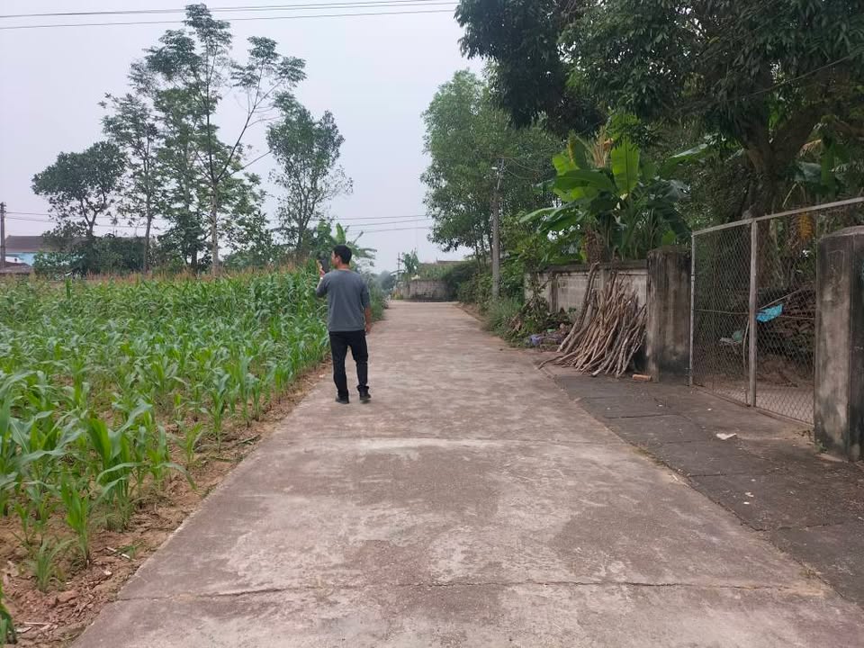 Đất nền Nghĩa Mai 254m² giá thỏa thuận - Sổ đỏ chính chủ, pháp lý rõ ràng!