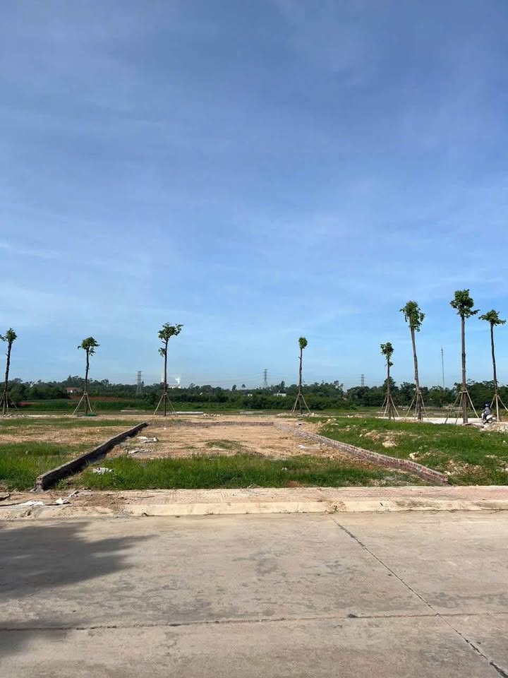 Đất thổ cư Bàn Giản Lập Thạch 133m² giá 1 tỷ - Mặt tiền 7m đường Tỉnh Lộ 306B!